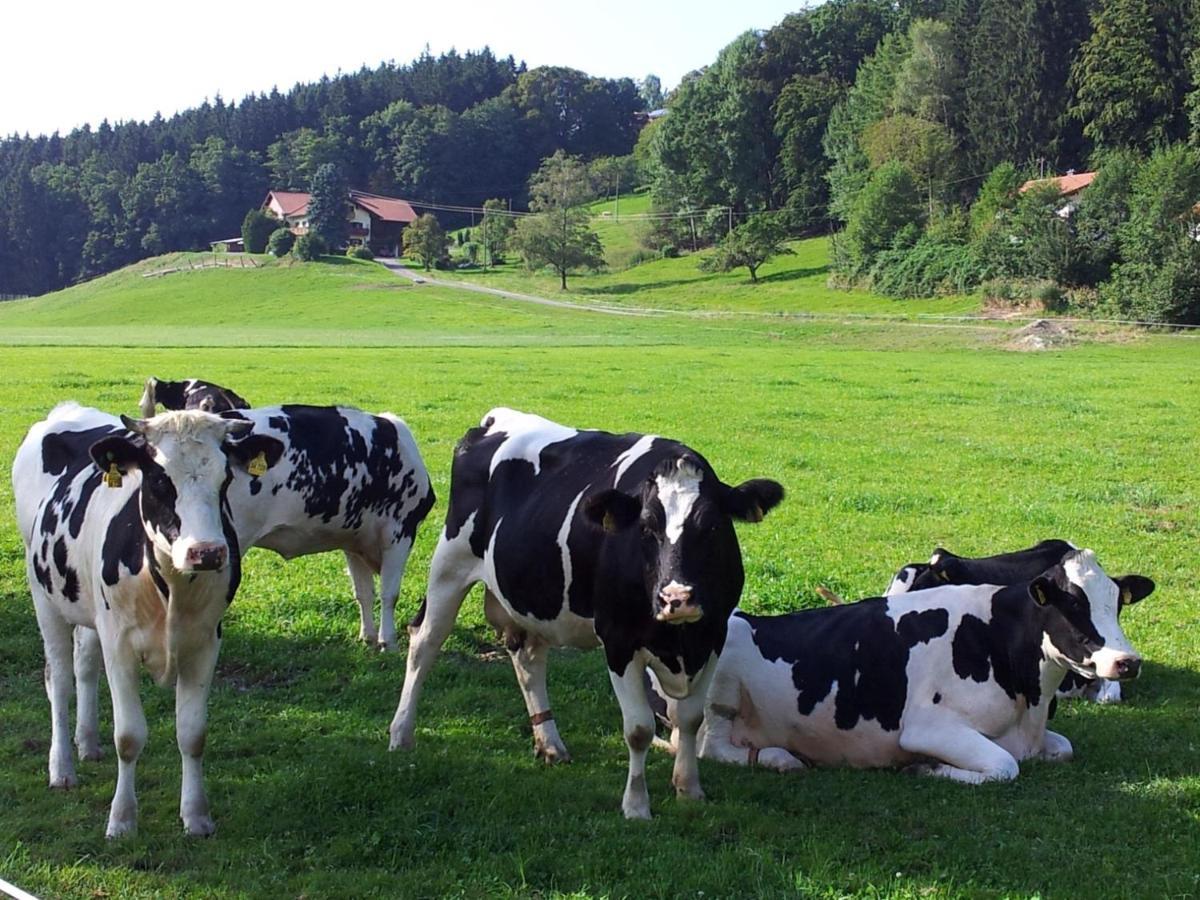 Direkt Zwischen Chiemsee U Alpen Dg 베르나우암히엠지 외부 사진